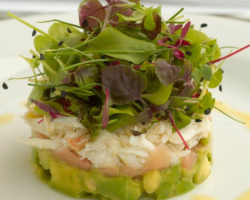 Fine Dining Photo Gallery (2)