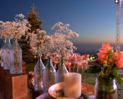 Weddings Photo Gallery (1)