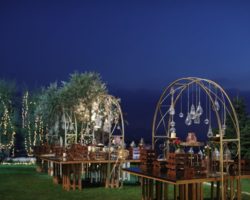 Weddings Photo Gallery (3)